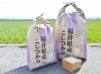 福井県産「こしひかり」特栽米 5kg